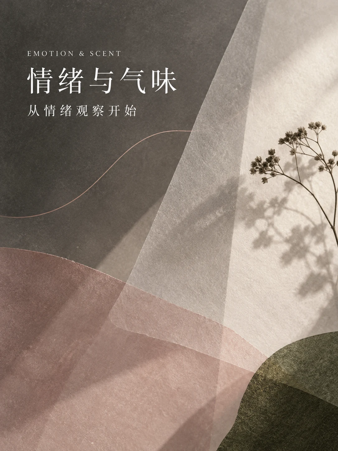 情绪芳疗知识：植物香气与焦虑、烦躁、低落情绪的观察