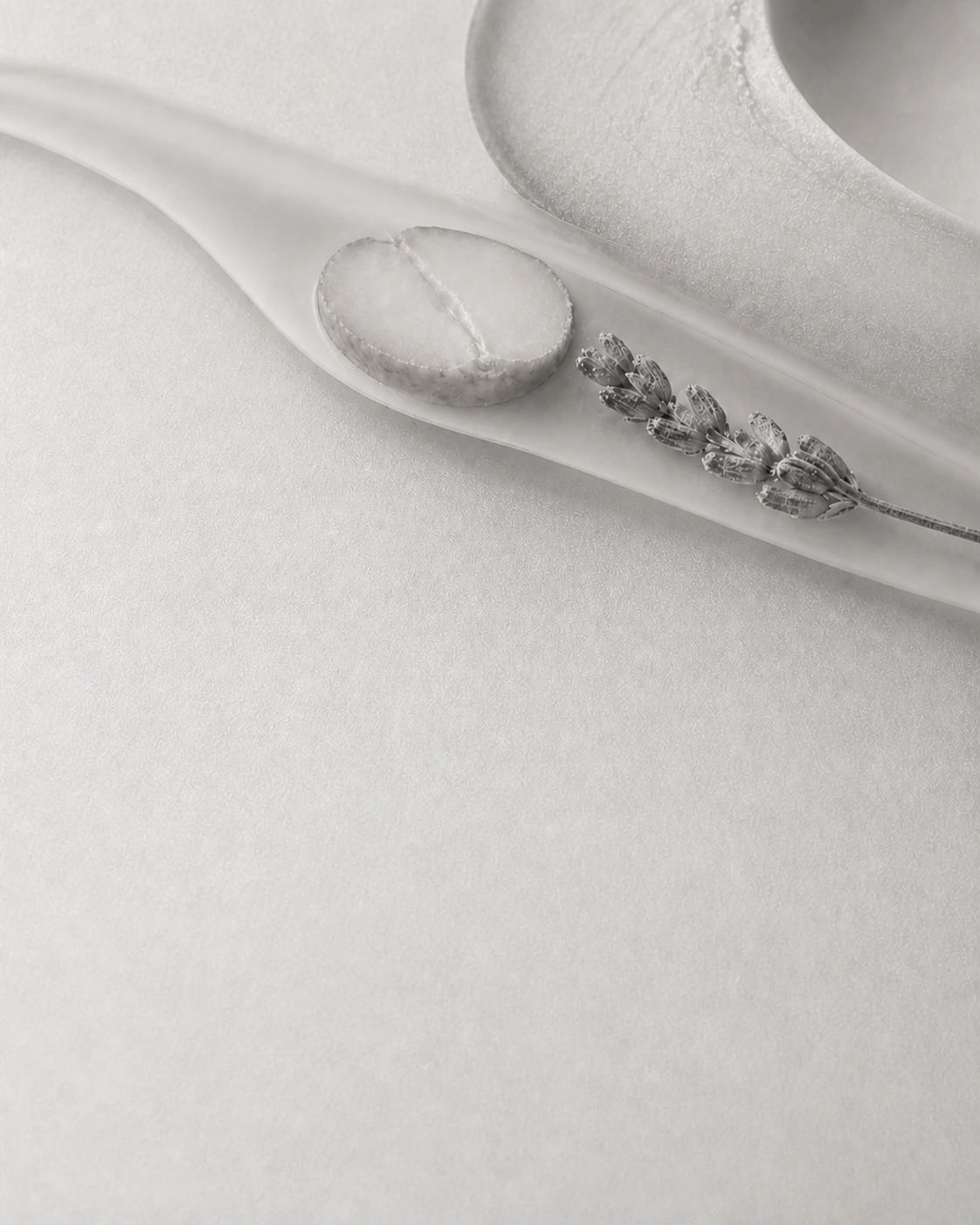 牛油果切面、澳洲坚果与薰衣草被双层油脂界面包裹的中性银盐原料影像